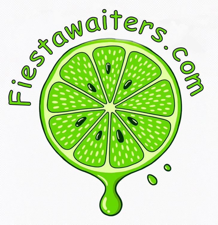 Footer Logo